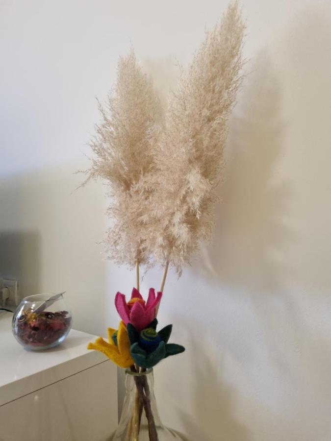 Apartment Rajci เซรส ภายนอก รูปภาพ